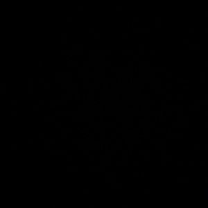 Meet your Posher, Dan